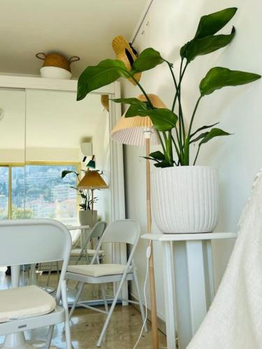 une plante dans un vase sur une table dans une pièce dans l'établissement A 4 minutes de la plage dans le meilleur quartier, à Nice
