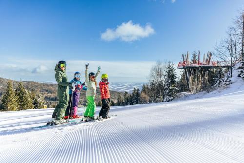 a group of four people standing on a snow covered slope at Villa Luef in Mönichkirchen