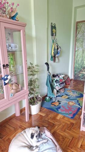 a dog laying on the floor in a room at Apartamento Gracioso ao lado do Parque das Águas in Caxambu