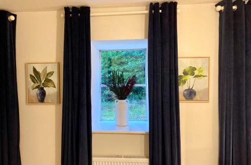 Zahrada ubytování Charming 1 bed Georgian Apartment in Kildare