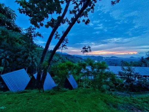 a tree sitting on top of a lush green field at SZ Samui Glamping in Ban Sa Ket
