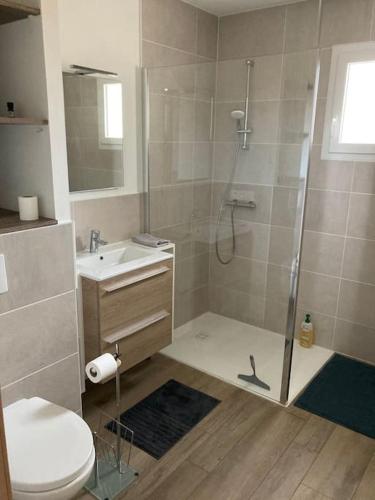 une salle de bain avec une douche, des toilettes et un lavabo dans l'établissement Maison Chaleureuse à 10 min du Futuroscope, à Jaunay-Clan
