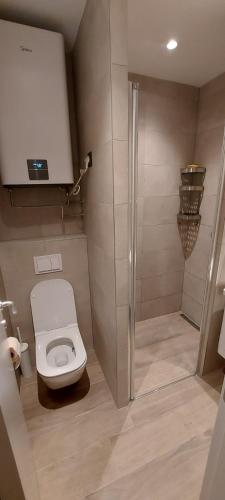 a bathroom with a toilet and a shower at PAHULJA Vila Bela Reka Kopaonik Brzeće in Brzeće