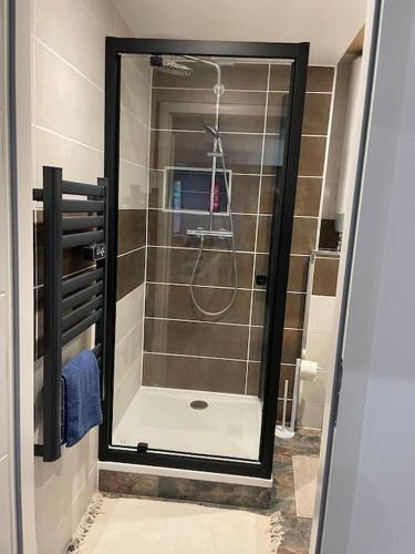une douche avec une porte vitrée dans une salle de bain dans l'établissement Stella appartement, à Saint Pierre en Faucigny
