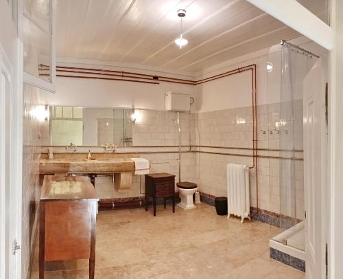 a bathroom with a sink and a toilet and a mirror at Junqueira Gardens - Casa Antiga Jardim e Piscina in Lisbon