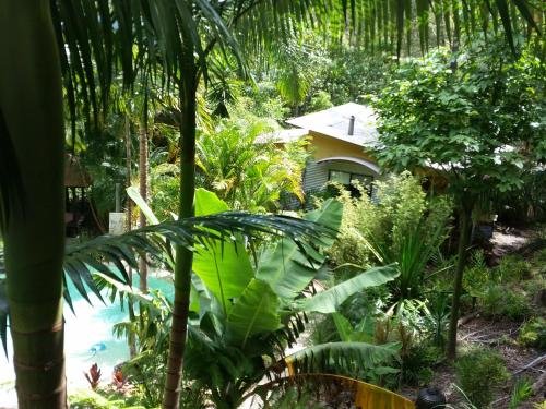 a garden with a house in the background at Alaya Ascend in Eudlo