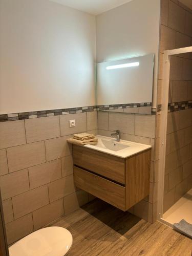 une salle de bain avec un lavabo et un miroir dans l'établissement Appartement meublé T1 Lussac les Chateaux, à Lussac-les-Châteaux