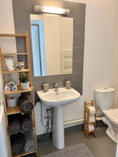 une salle de bain avec un lavabo, des toilettes et un miroir dans l'établissement Carré d or de Rouen vue sur la cathédrale, à Rouen
