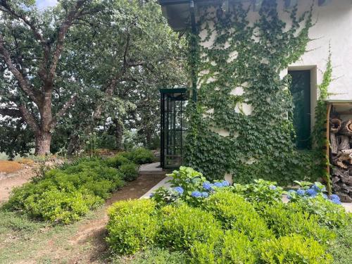 En have udenfor Casa Rural Finca De Musgo