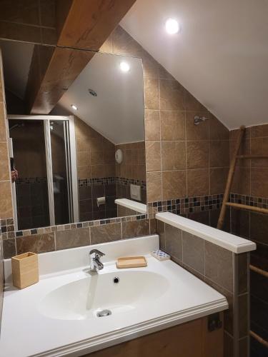 une salle de bain avec un lavabo et un miroir dans l'établissement Les balcons des aiguilles, à La Toussuire