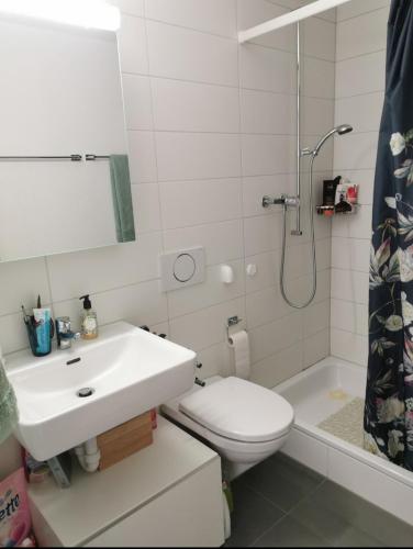 a bathroom with a sink and a toilet and a shower at Beautiful view on the river Aare in Hinterkappelen
