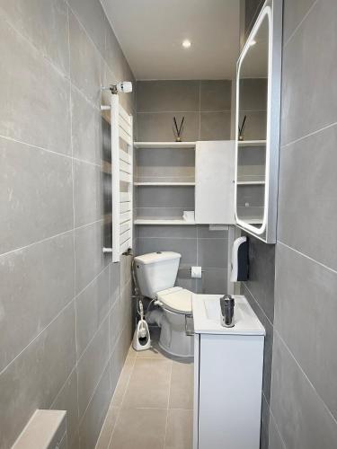 une salle de bain avec toilettes, lavabo et miroir dans l'établissement Le Loft de l'Artiste, à Sèvres