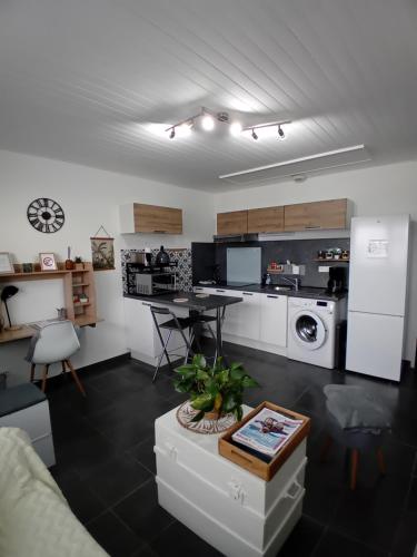 Il comprend une cuisine et un salon avec une table et un lave-linge. dans l'établissement Appart paisible, propre et accueillant, à Pers-Jussy