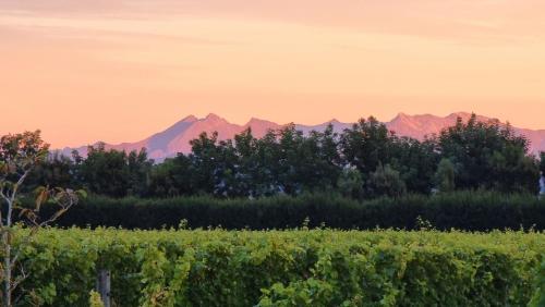 a view of a vineyard with mountains in the background at Private studio on Judi's Vineyard in Hope