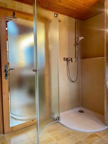 a shower with a glass door in a bathroom at Altmuehl Familienvilla in Treuchtlingen