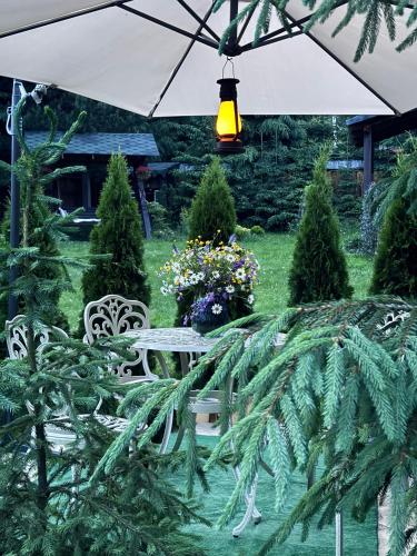 Κήπος έξω από το Cottage PolyaNitsa окремий котедж з каміном