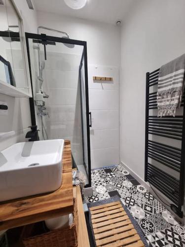 une salle de bain avec un lavabo et une douche dans l'établissement Élégance au Bord de l'Eau, à Aiguebelette-le-Lac