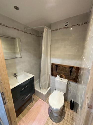 a bathroom with a toilet and a sink at Chalet Alpina résidence Val Claret in Tignes