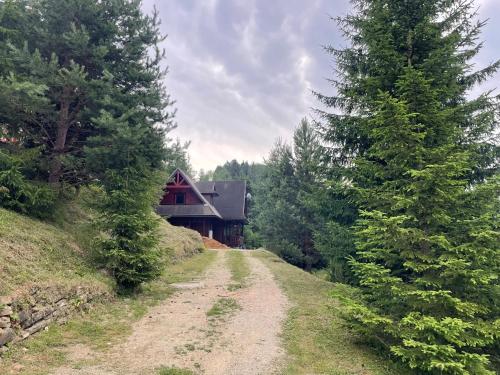 a dirt road leading to a house in the woods at Chata Čučoriedka Litmanová in Litmanová