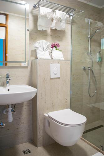 a bathroom with a toilet and a sink and a shower at Beach Hotel in Drasnice