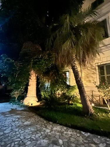two palm trees in front of a house at night at Villa Chianese in Naples