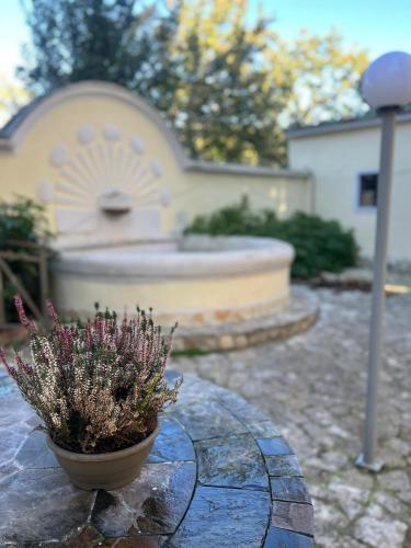 a potted plant sitting on a stone table in front of a fountain at Villa Chianese in Naples