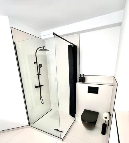 a glass shower stall with a toilet in a bathroom at Highlife Apartment Bad Kreuznach ONE in Bad Kreuznach