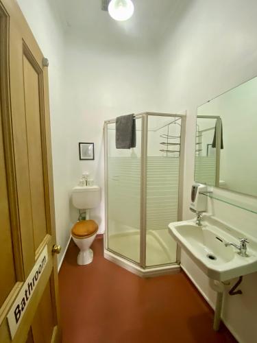 a bathroom with a shower and a toilet and a sink at Station Lodge in Ohakune
