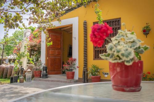 Un jardín fuera de Serenity Lodge