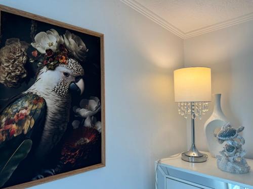 Gallery image of Location Siesta 1 mile away Home with HOT SPA in Sarasota