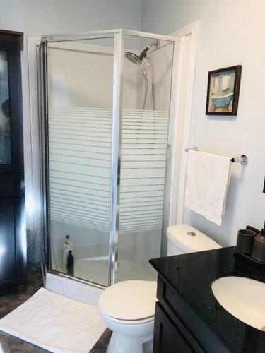 a bathroom with a shower with a toilet and a sink at Golden Hour Villa in Peggy's Cove Rd in French Village