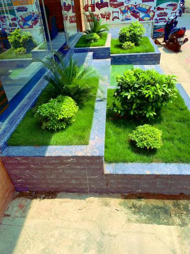 a row of plants with grass and bushes at Hotel Blue Residency in Nāgercoil