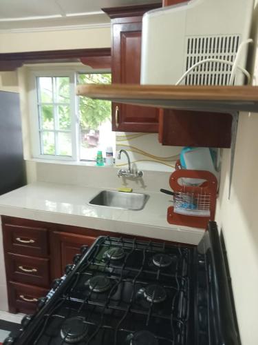 Una cocina o cocineta en Villa D'Vene
