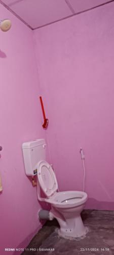 a bathroom with a white toilet in a pink wall at Elephant and Four wise men resort in Neil Island