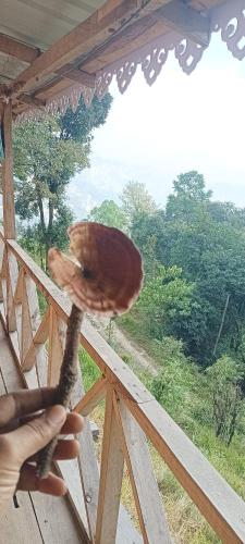 a person holding a mushroom on a wooden railing at Katus in Gangtok