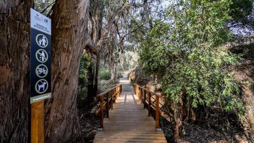 a wooden path through a tree with a wooden bridge at Reñaca I Nuevo I Luminoso I Circuito Trekking in Viña del Mar