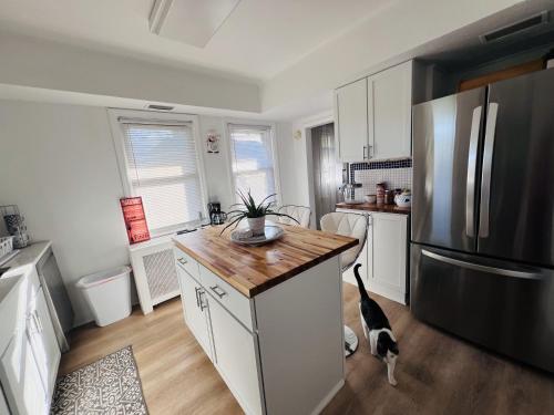 a kitchen with a dog standing on the floor at Charming 3 Bedroom Cottage Apartment in a Tudor-Style Home in Pittsburgh