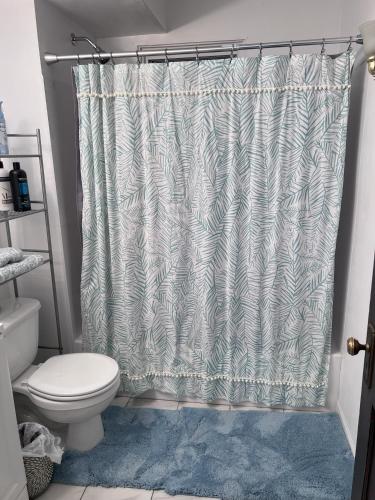 a bathroom with a shower curtain and a toilet at Charming 3 Bedroom Cottage Apartment in a Tudor-Style Home in Pittsburgh