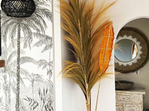 Fotografie z fotogalerie ubytování COLIVER - COLIVING A LA RÉUNION v destinaci Saint-Pierre