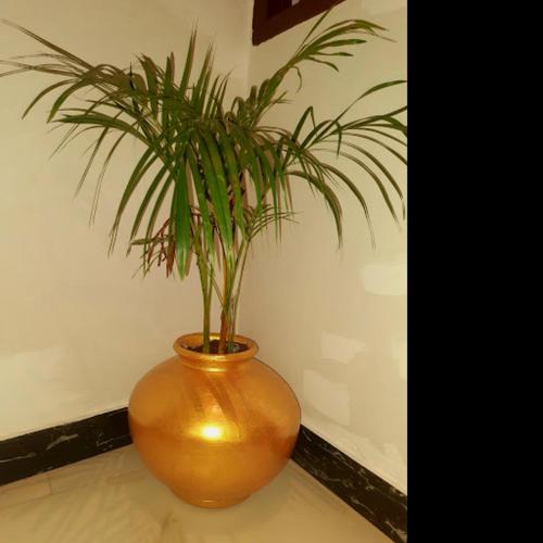a vase with a plant in it sitting on a table at Gladden Villa in Udaipur