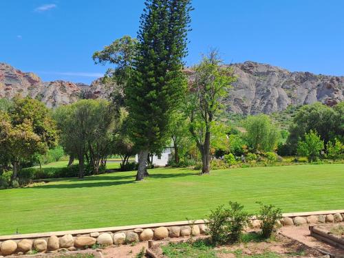a green field with a tree and mountains in the background at Red Ridge Mountain Lodge in Buffelskloof