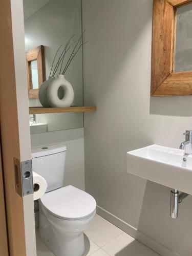 a bathroom with a toilet and a sink at Morning Star Studio A in Queenstown