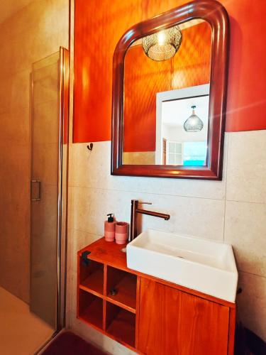 a bathroom with a sink and a mirror and a shower at COLIVER - COLIVING A LA RÉUNION in Saint-Pierre