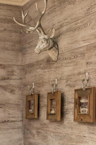 a mounted deer head on a wall with pictures at Villa Bucher - Metnitztalerhof in Friesach