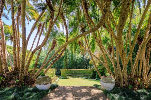 a garden with palm trees and a couch in a yard at The Cellars-Hohenort in Cape Town
