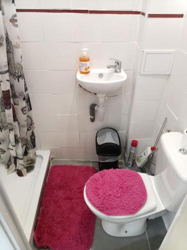 La salle de bains est pourvue d'un tapis rose, d'un lavabo et de toilettes. dans l'établissement Résidence les jardins secrets, à Romilly-sur-Seine