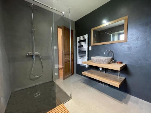 a bathroom with a shower and a sink and a mirror at Etxola in Saint-Jean-Pied-de-Port