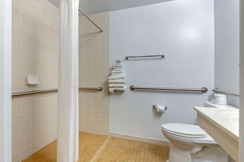a bathroom with a toilet and a sink at Atlantis Family Waterpark Hotel, an Ascend Collection Hotel in Wisconsin Dells