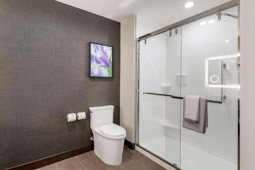 a bathroom with a toilet and a glass shower at Cambria Hotel Pigeon Forge in Pigeon Forge
