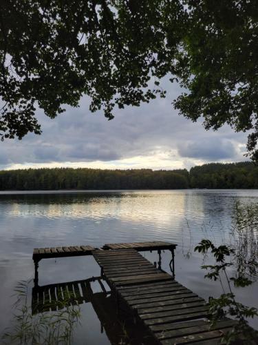 a dock on a lake with trees in the background at Chaty Kaszubskie in Łąkie